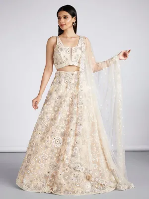 Cream Net Sequins, Mirror and thread embroidery Semi-Stitched Lehenga choli & Dupatta