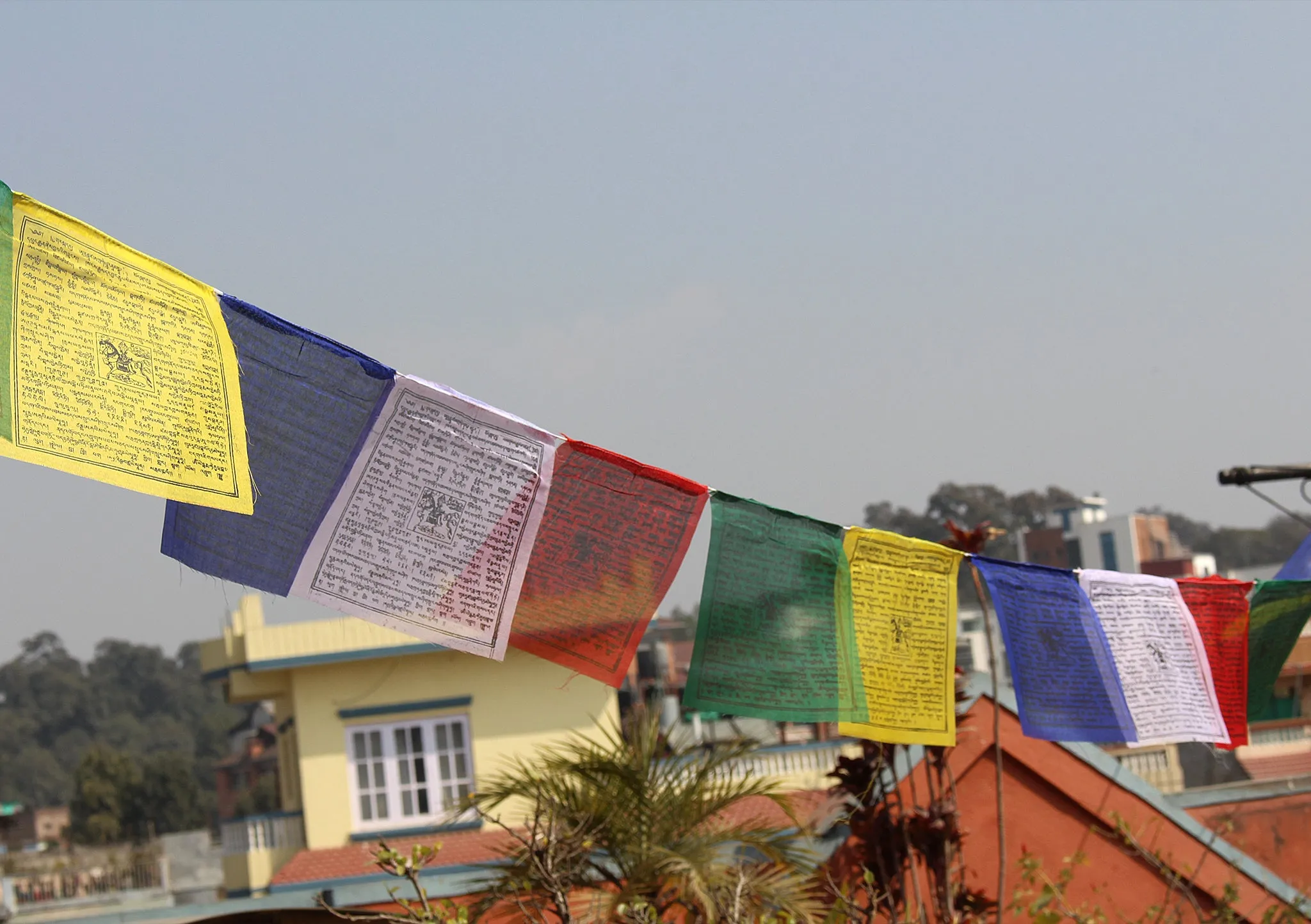 Polyester Windhorse Prayer Flags